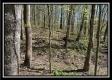 Tract 6 - Sunfish Creek property photo