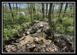 Tract 6 - Sunfish Creek property photo