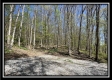 Tract 6 - Sunfish Creek property photo