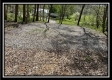 More of Tract 6 - Sunfish Creek