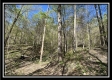 Tract 6 - Sunfish Creek property photo