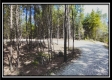 Tract 4 - New Lexington Woods property photo