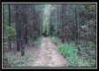 Tract 4 - New Lexington Woods property photo
