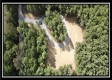 More of Tract 4 - New Lexington Woods
