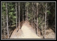 Tract 4 - New Lexington Woods property photo