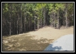 Tract 4 - New Lexington Woods property photo