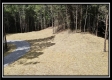 Tract 4 - New Lexington Woods property photo