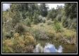 Tract 4 - New Lexington Woods property photo