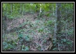 Tract 4 - New Lexington Woods property photo
