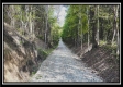 Tract 4 - New Lexington Woods property photo