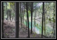 Tract 4 - New Lexington Woods property photo