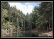 Tract 4 - New Lexington Woods property photo