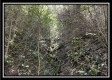 Tract 2 - Clary Rd property photo