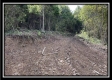 Tract 2 - Clary Rd property photo
