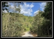 Tract 2 - Clary Rd property photo