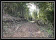 Tract 2 - Clary Rd property photo
