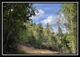 Tract 2 - Clary Rd property photo