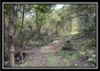Tract 2 - Clary Rd property photo