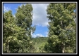 Tract 2 - Clary Rd property photo