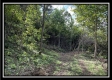 Tract 2 - Clary Rd property photo
