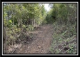 Tract 2 - Clary Rd property photo