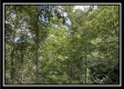Tract 2 - Clary Rd property photo