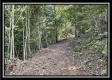 Tract 2 - Clary Rd property photo