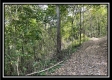 Tract 2 - Clary Rd property photo