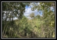 Tract 2 - Clary Rd property photo