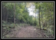Tract 2 - Clary Rd property photo