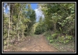 Tract 2 - Clary Rd property photo