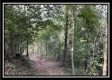 Tract 2 - Clary Rd property photo
