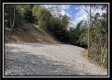 More of Tract 2 - Clary Rd