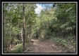 Tract 2 - Clary Rd property photo