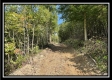 Tract 3 - Clary Rd property photo
