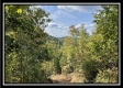 Tract 3 - Clary Rd property photo