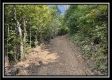 Tract 3 - Clary Rd property photo