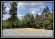 More of Tract 3 - Clary Rd