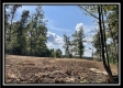 Tract 3 - Clary Rd property photo