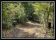 Tract 3 - Clary Rd property photo