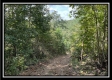 Tract 3 - Clary Rd property photo
