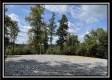 Tract 3 - Clary Rd property photo