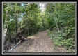 Tract 3 - Clary Rd property photo