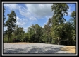 Tract 3 - Clary Rd property photo