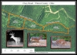 Tract 3 - Clary Rd property photo