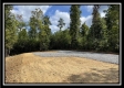 Tract 3 - Clary Rd property photo