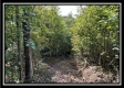 Tract 3 - Clary Rd property photo