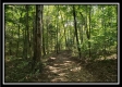 Tract 1 – The Woods at Pedigo Ridge property photo