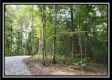 Tract 1 – The Woods at Pedigo Ridge property photo
