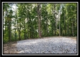 Tract 1 – The Woods at Pedigo Ridge property photo